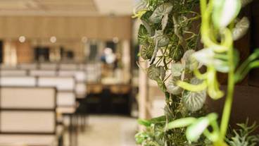 朝食スペース / 14