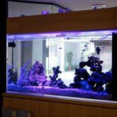 金沢駅前ホテル（石川県 ビジネスホテル） / 2