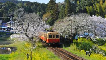 ランド ビュー / 25