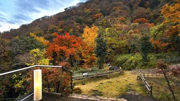 施設からの眺望 / 16