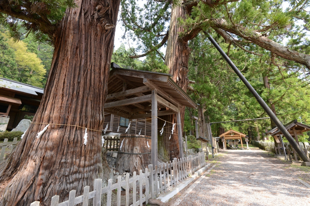 森の中にたたずみ、力あふれる荘厳な神社2047832