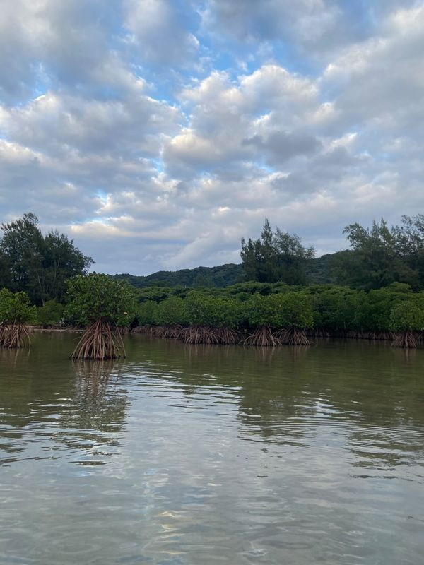 youxiang_1007さんの写真 / 2