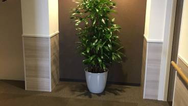 内装の詳細 / 12