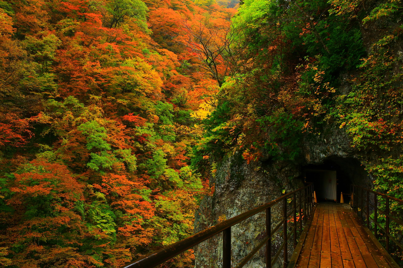 紅葉の抱返り渓谷