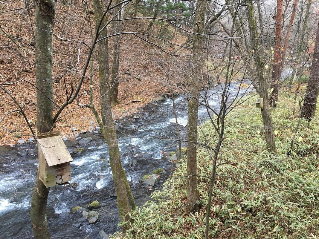 hashi_yumiさんの写真 / 4