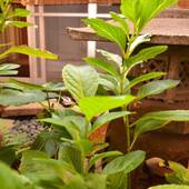 Colours(京都府 民宿) / 5