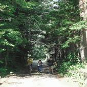 軽井沢森四季VILLA（長野県 別荘・ヴィラ・コンドミニアム） / 3