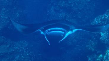 フィットネス設備 / 6