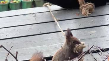 テラス / パティオ / 23