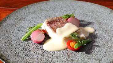 食事・飲み物 / 17