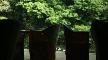 内装の詳細 / 12