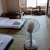 虎杖浜温泉 ホテル いずみ（北海道 旅館） / 2