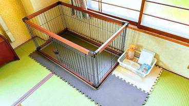 ペット用設備・サービス / 1