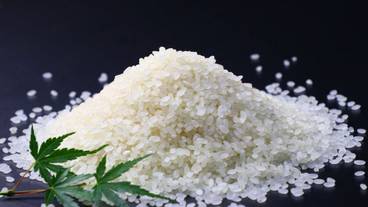 食事・飲み物 / 1