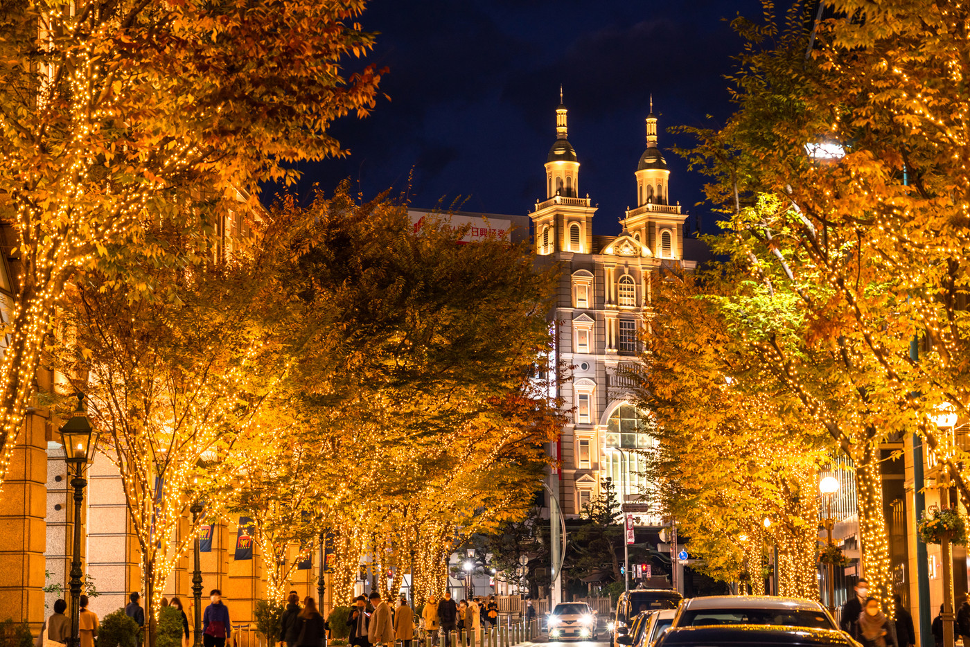 幻想的な光が優しく夜を彩る、神戸の街へ​4574934