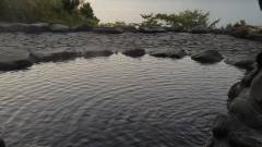 伊豆・伊東 金目鯛の宿 こころね