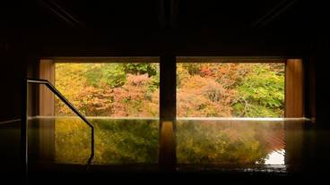 温泉 / 11