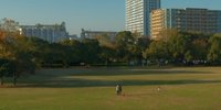 千葉でのんびりピクニック！ゆっくりできるおすすめ公園10選