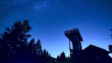 ランド ビュー / 37