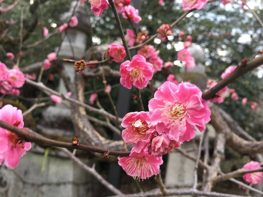 施設からの眺望