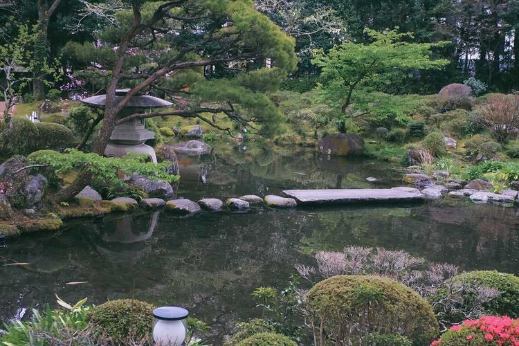 yurilly_0926さんの写真 / 2