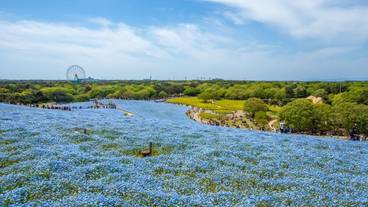 観光スポット / 3