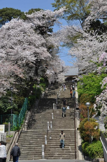 まずは此経難持坂（しきょうなんじざか）を上りましょう1540024