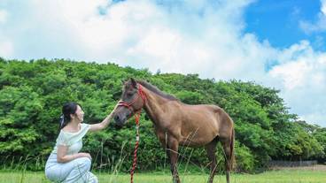 乗馬 / 9