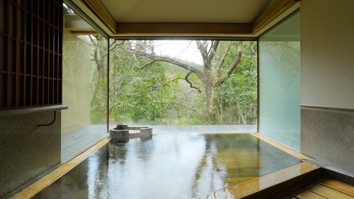 原生林に囲まれたヒノキ風呂でマイナスイオンを浴びる3346926