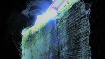 テラス / パティオ / 12