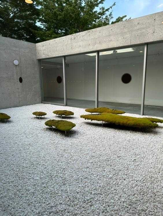 ym__m__さんの写真 / 3