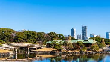 メズム東京、オートグラフ コレクション（メズムトウキョウ、オートグラフ コレクション） / 3