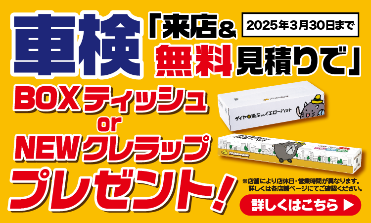 春のおでかけ前に♪いまならお得な見積りキャンペーンも4042058