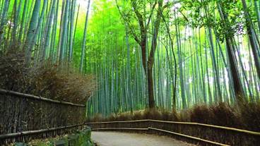 観光スポット / 8