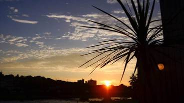 施設からの眺望 / 20