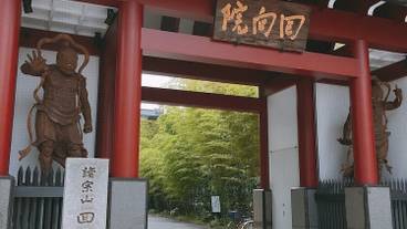 観光スポット / 7