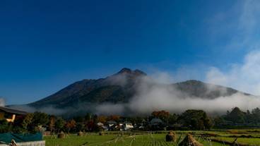 ランド ビュー / 15