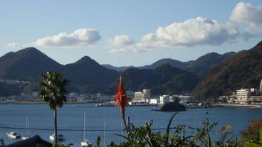 施設からの眺望 / 11