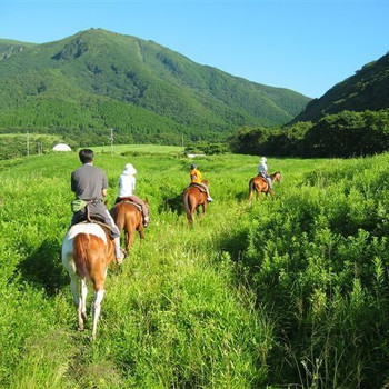 高原の風を感じる乗馬体験にもチャレンジ！4254961