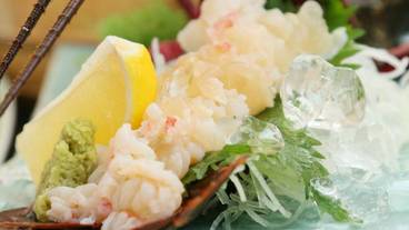 食事・飲み物 / 9