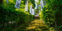 豊かな自然とゆるい時間に癒される。鎌倉・二階堂エリアのおすすめスポット8選／神奈川