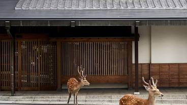 施設の正面 / 3