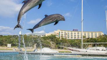 観光スポット / 11