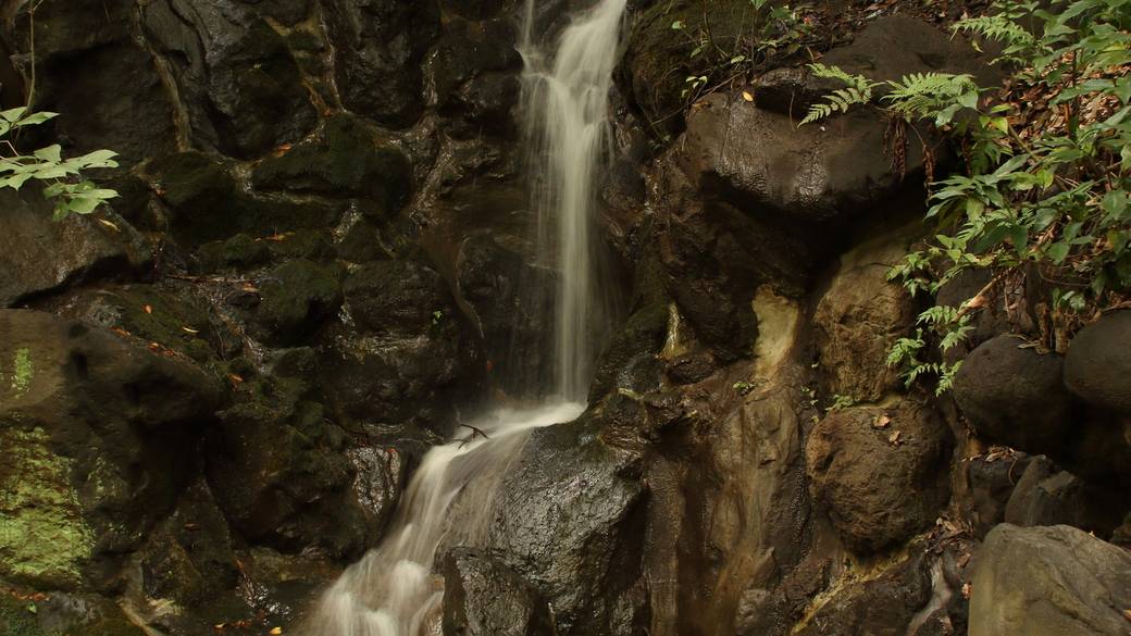 芝公園　もみじの滝 / 2
