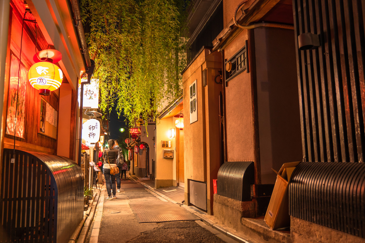 《京都府》先斗町・夜の歓楽街