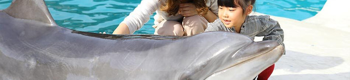 【和歌山】那智勝浦で自然を楽しむ♪子連れにおすすめホテル7選