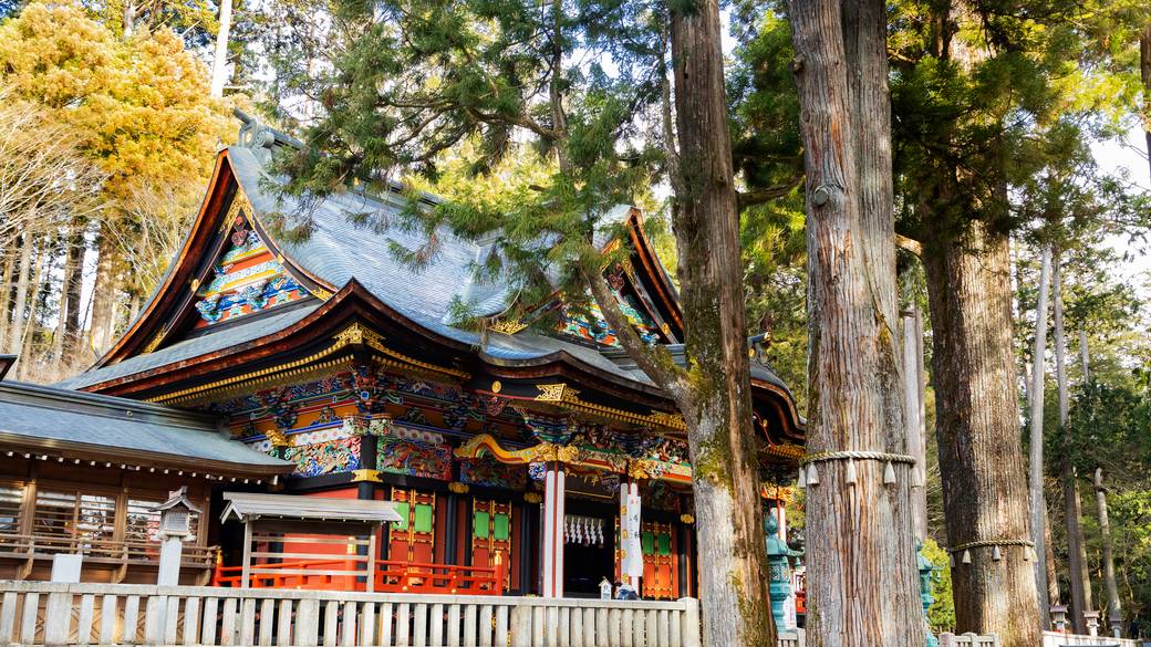 三峯神社 ご神木 / 5