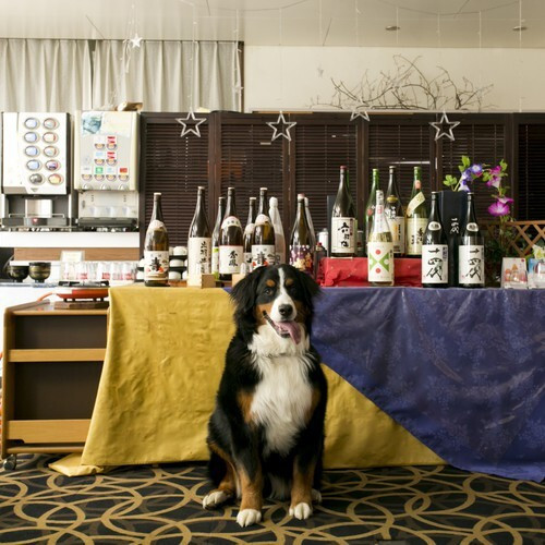 Pet-friendly restaurant