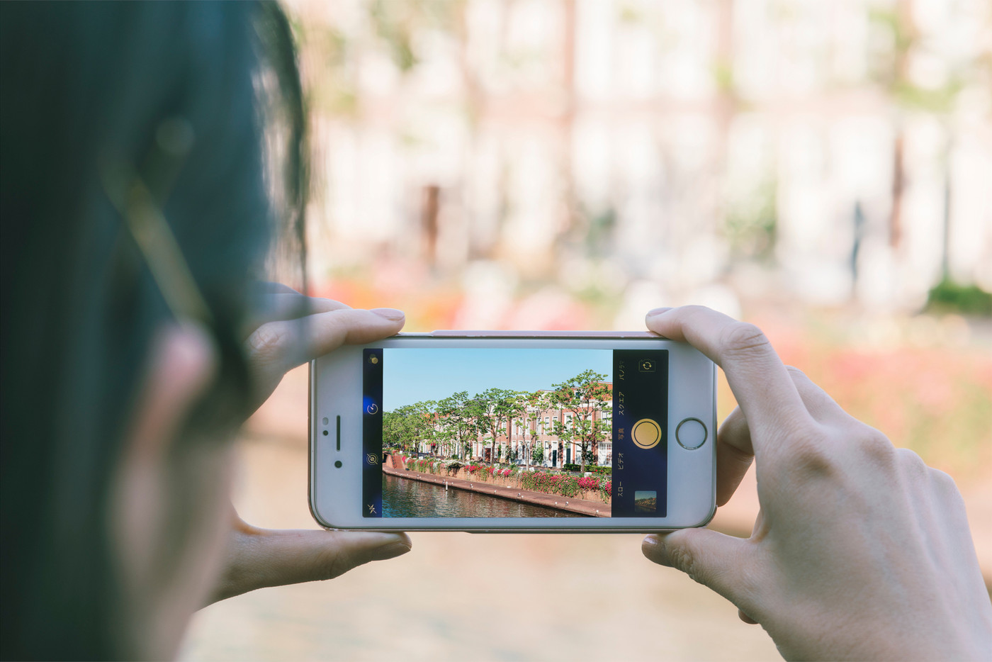 時間を忘れて夢中になれる 絶好のフォトスポット1891269