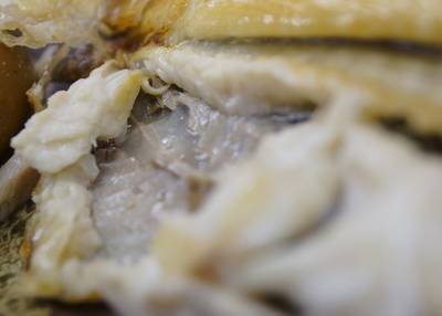 鮮魚食堂 かわしま